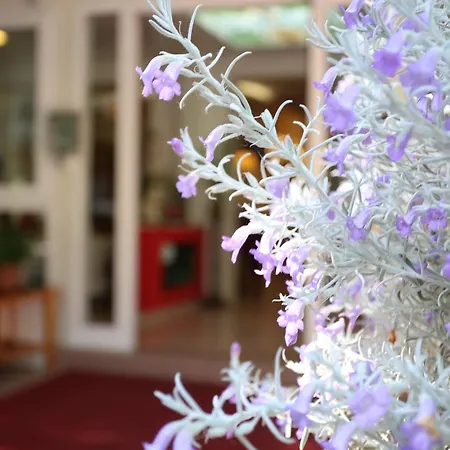 Astridhotel Hotel 3*